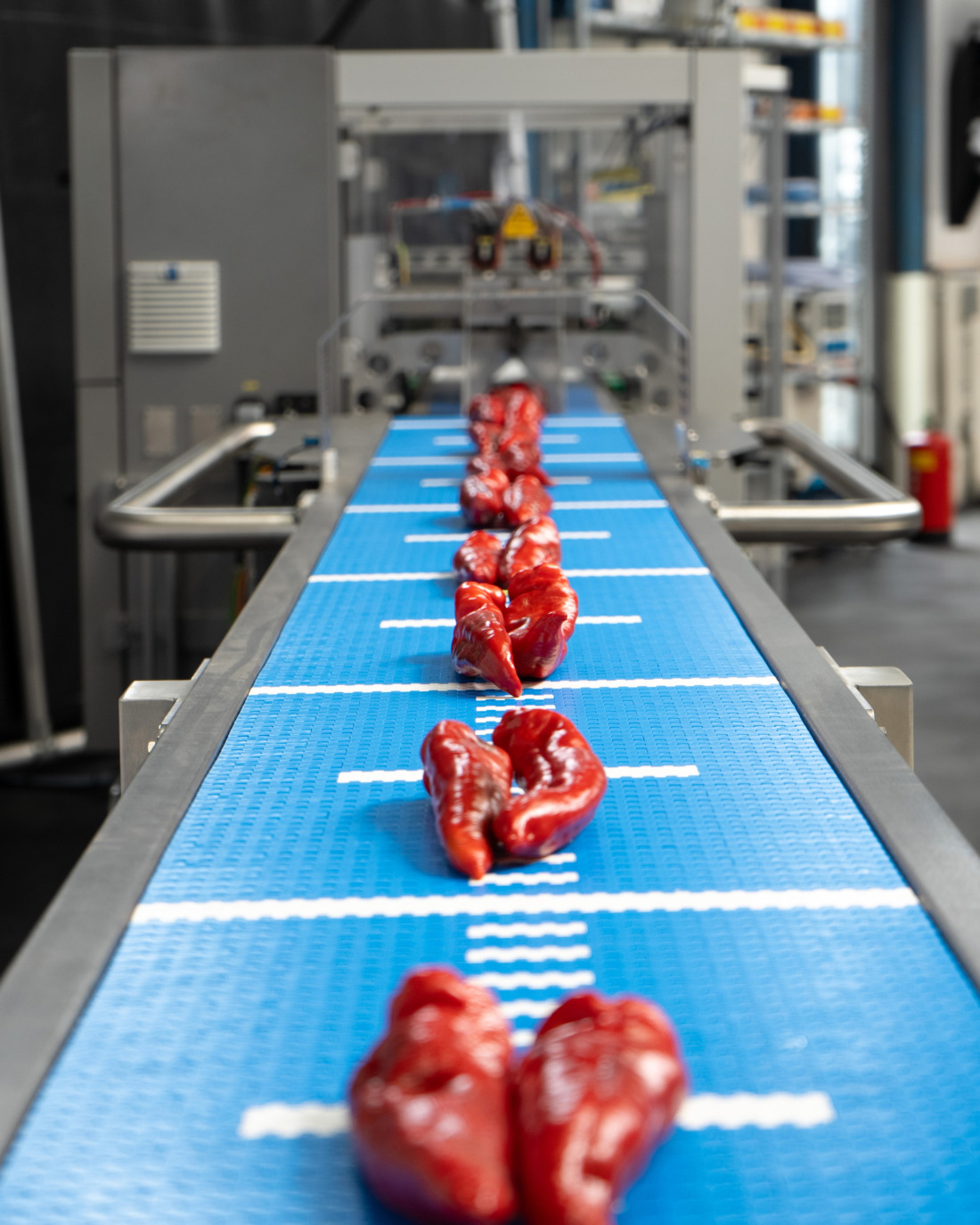 Barsch flowpack bovensealer invoer paprika