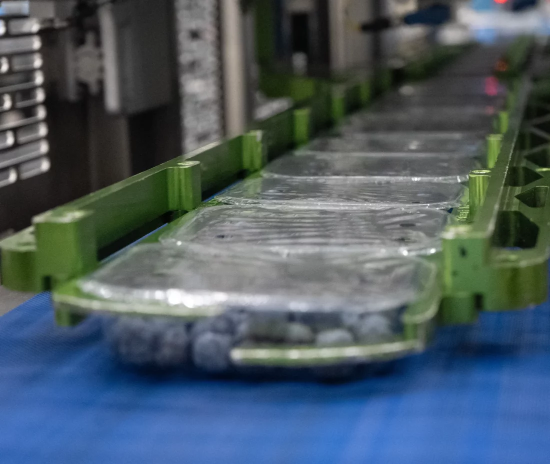 Packaging Automation Revolution XL topseal armen met gesealde trays