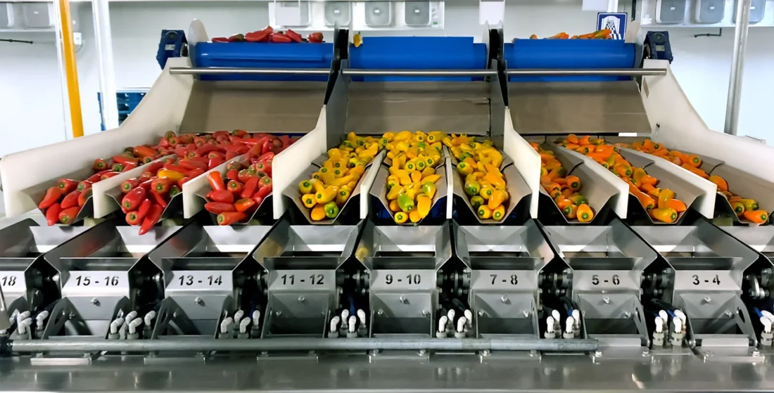 Induser lineaire combinatieweger PL18 snack paprika