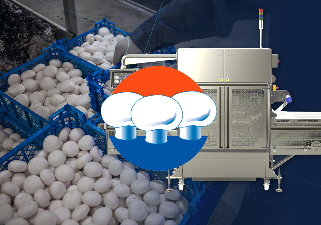 REV5 topsealmachine over champignons Champignondagen